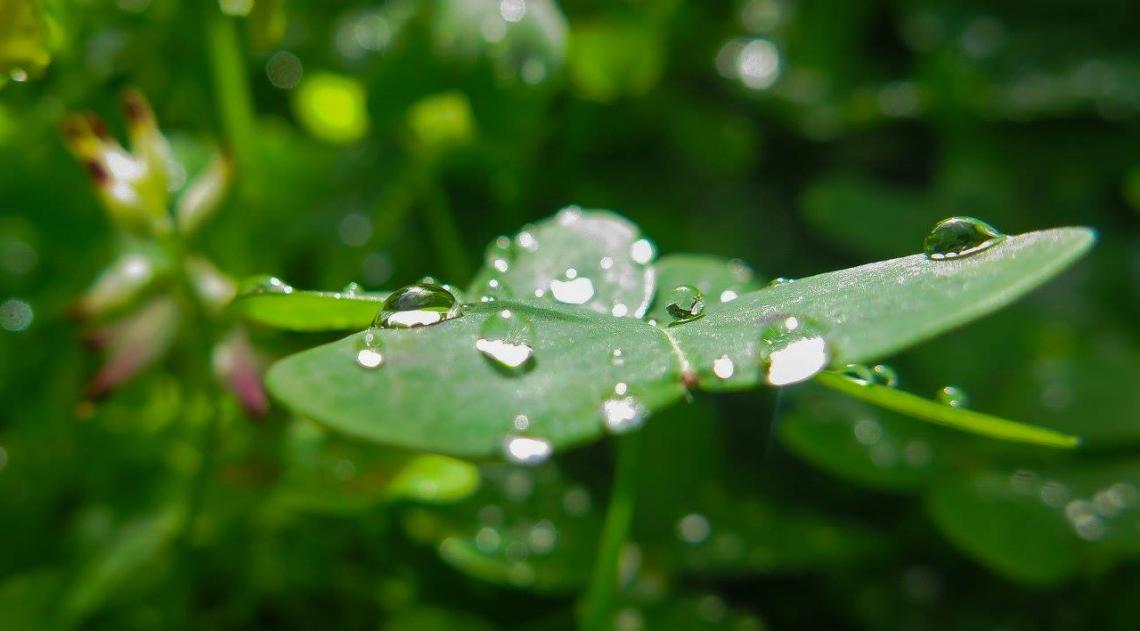 projetos e estudos de avaliação ambiental